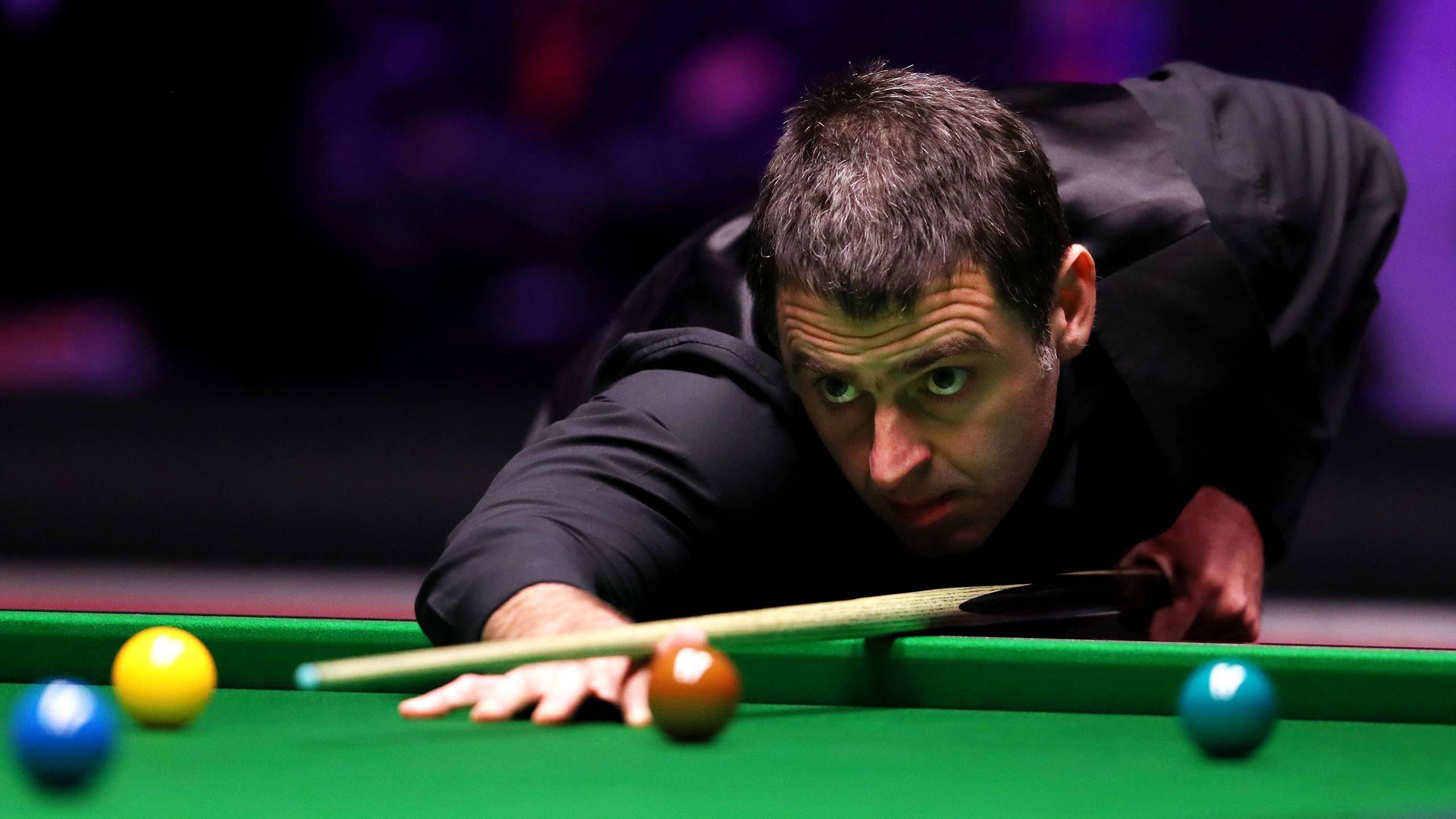 球迷和足球 球迷和足球